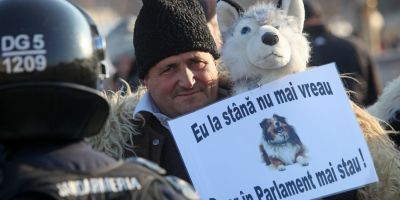 Campanie de strangere de fonduri online pentru plata amenzilor date ciobanilor care au protestat in Capitala